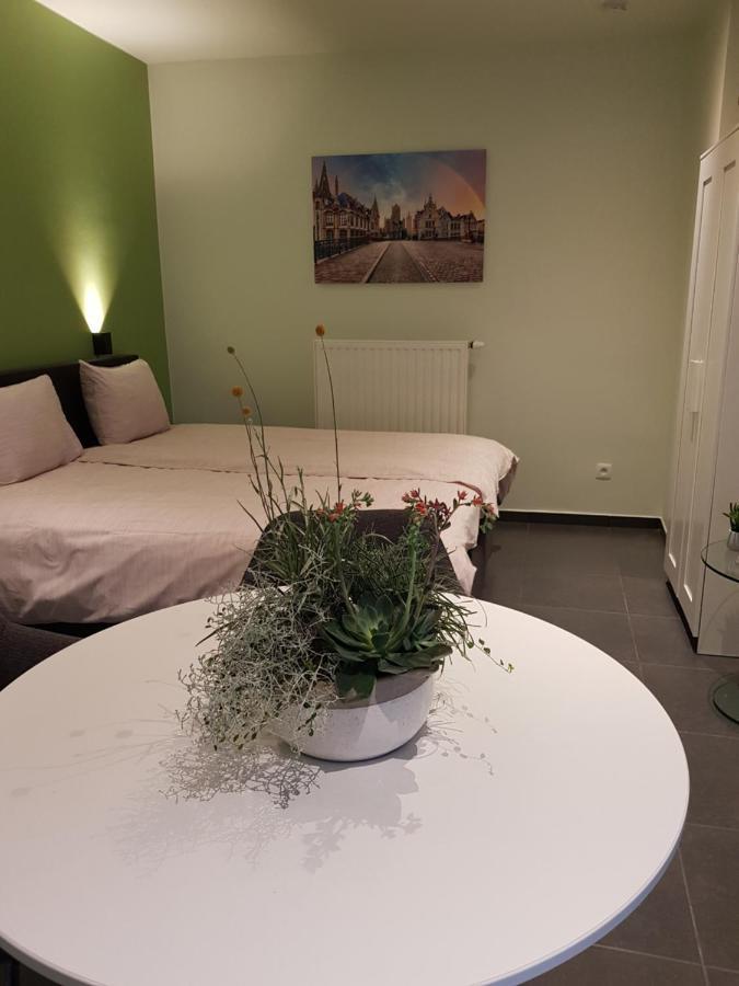 Appartement Touristflat Dewulf à Gand Extérieur photo