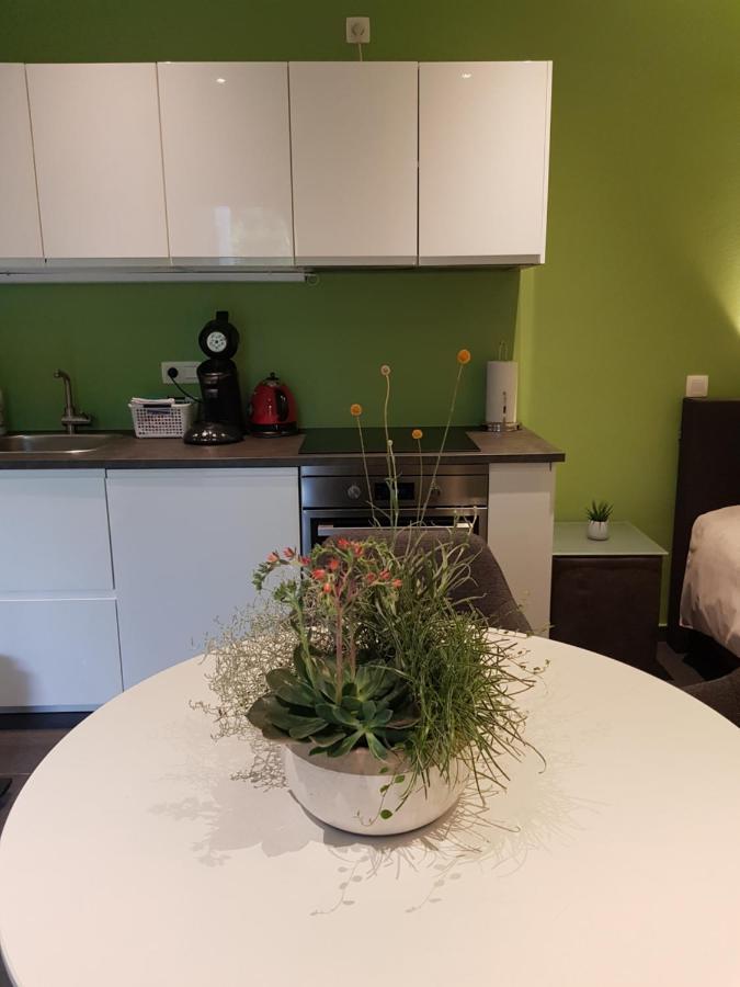 Appartement Touristflat Dewulf à Gand Extérieur photo